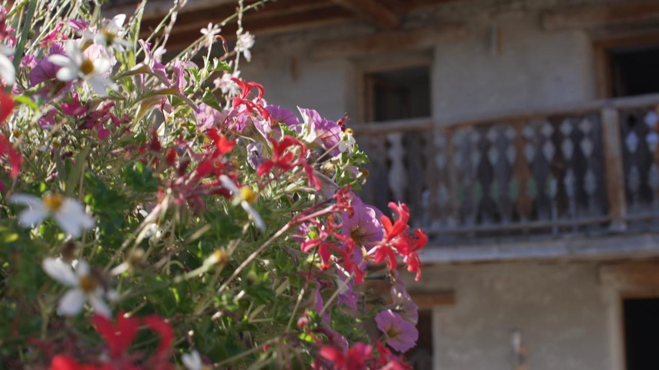 Chalets Violettes Villaroger Eksteriør bilde